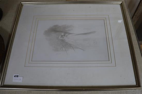 Charles Prosper Sainton (1861-1914) silverpoint, Woman amongst reeds, signed 26 x 42cm